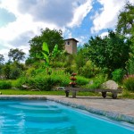 Pool whit ancient tower